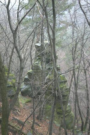 Obrovka